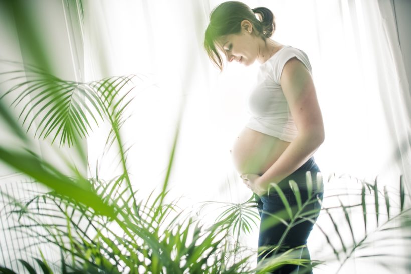 portrait d'une future maman enceinte avec des plantes en premier plan